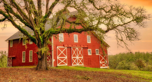 Willamette Valley Barn Jigsaw Puzzle