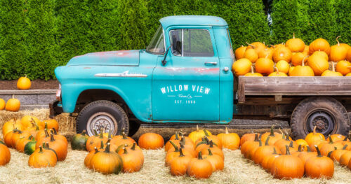 Willow View Farms Jigsaw Puzzle