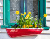Window Boat