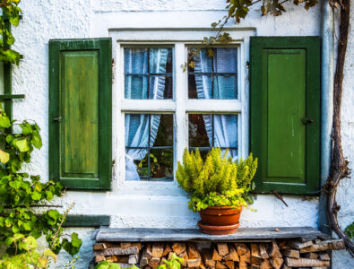 Window in Green Jigsaw Puzzle