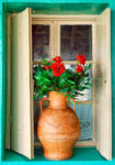 Window Roses