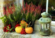 Window Sill Decor