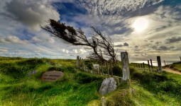 Windswept Graves