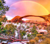 Winter Arch