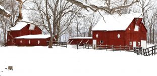 Winter Barns