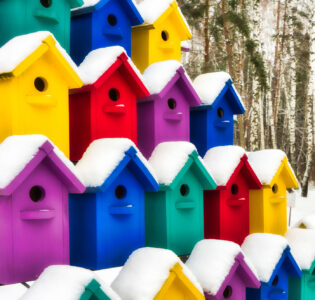 Winter Birdhouses Jigsaw Puzzle