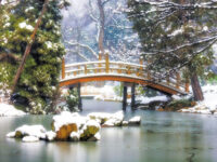 Winter Bridge