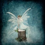 Winter Fairy