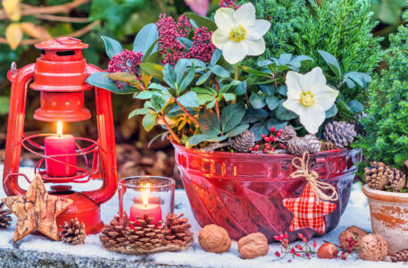Winter Garden Glow Jigsaw Puzzle