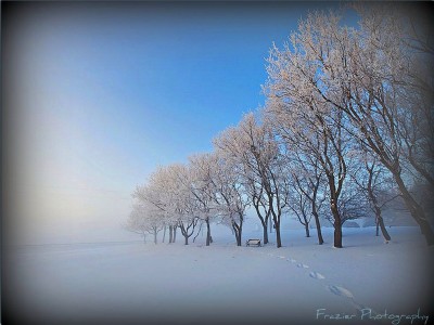 Winter in the Park Jigsaw Puzzle