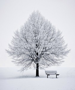 Winter Meditation Jigsaw Puzzle