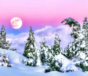 Winter Moonrise Jigsaw Puzzle