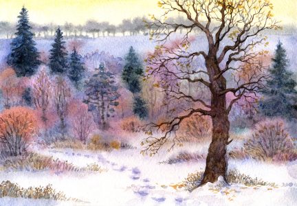 Winter Oak Jigsaw Puzzle