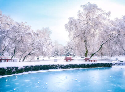 Winter Park Jigsaw Puzzle