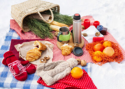 Winter Picnic Jigsaw Puzzle