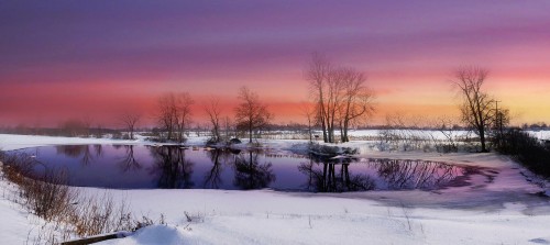 Winter Pond Jigsaw Puzzle