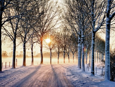 Winter Road Jigsaw Puzzle