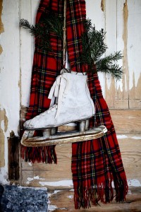 Winter Skates Jigsaw Puzzle