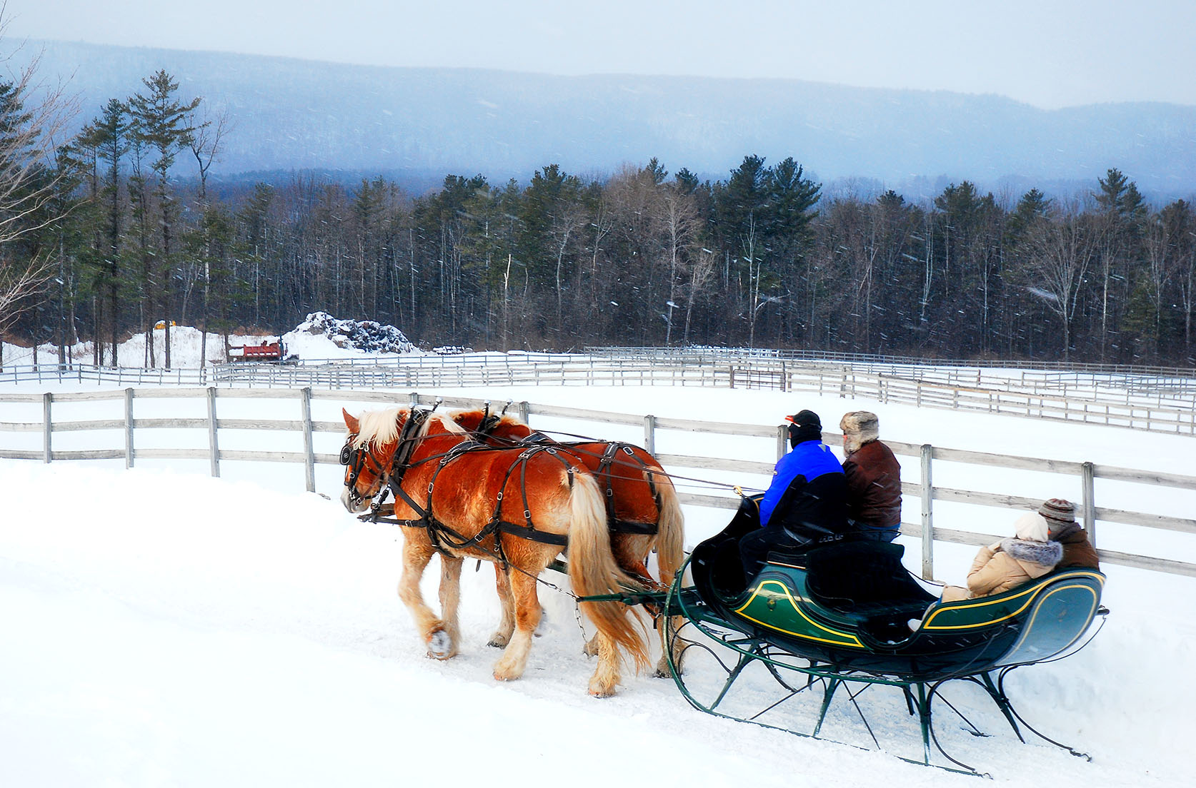 На санях на лошади вдоль леса зимой. Видео езды на нартах в снегу. Horse Sledge.