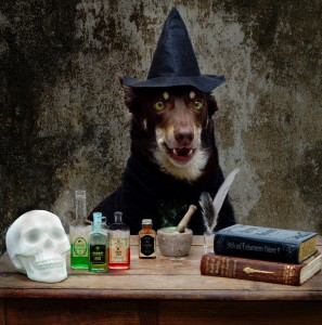 Witch’s Brew Jigsaw Puzzle