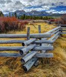 Wood Pole Fence