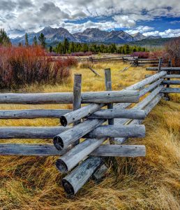 Wood Pole Fence Jigsaw Puzzle