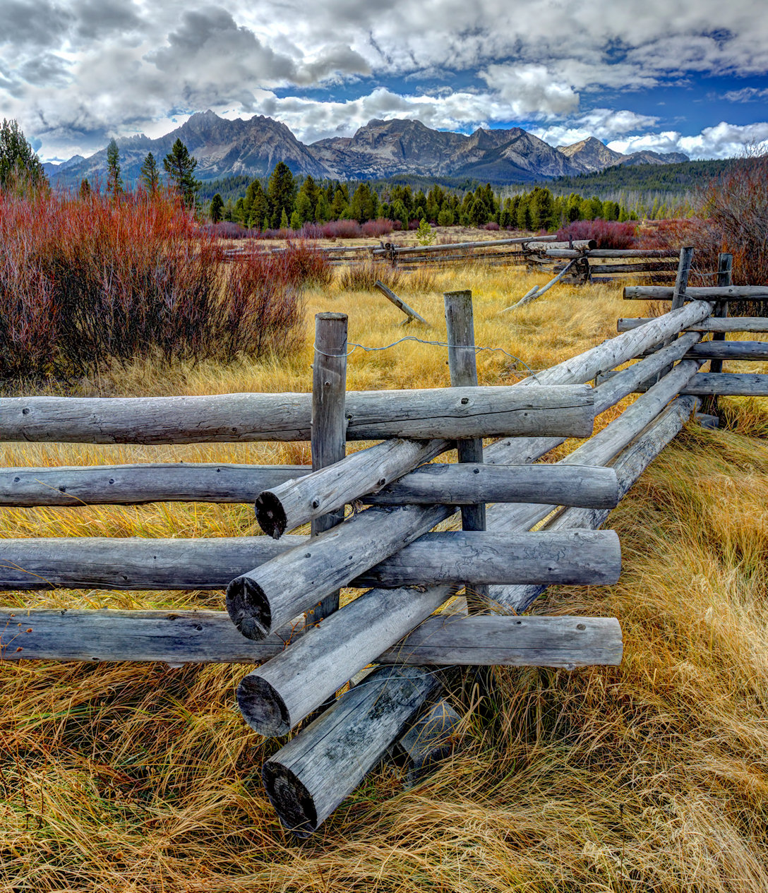 Wood Pole Fence Jigsaw Puzzle
