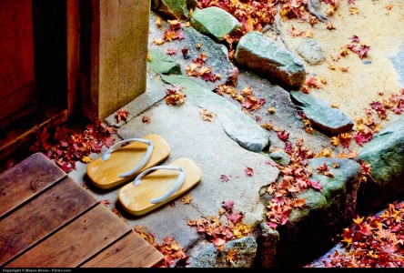 Wood Sandals Jigsaw Puzzle