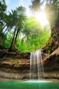 Woodlands Waterfall Jigsaw Puzzle