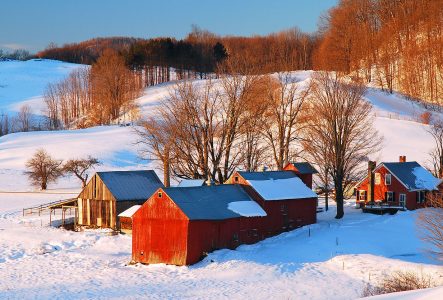 Woodstock Barns Jigsaw Puzzle