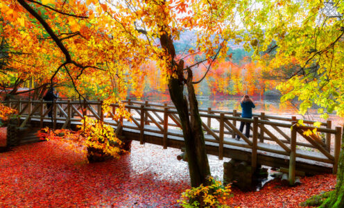 Yedigoller Park Bridge Jigsaw Puzzle