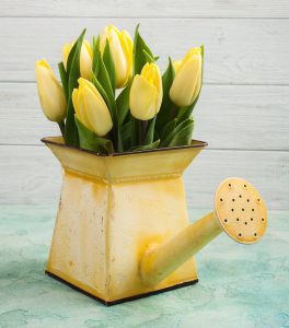 Yellow Watering Can Jigsaw Puzzle