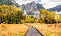 Yosemite Boardwalk