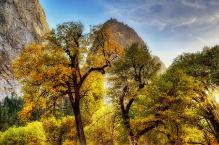 Yosemite Fall Jigsaw Puzzle