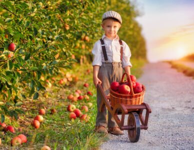 Young Apple Picker Jigsaw Puzzle
