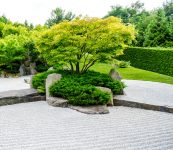 Zen Garden