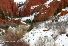 Zion National Park